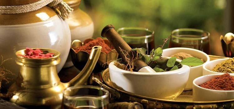 luminary wellness